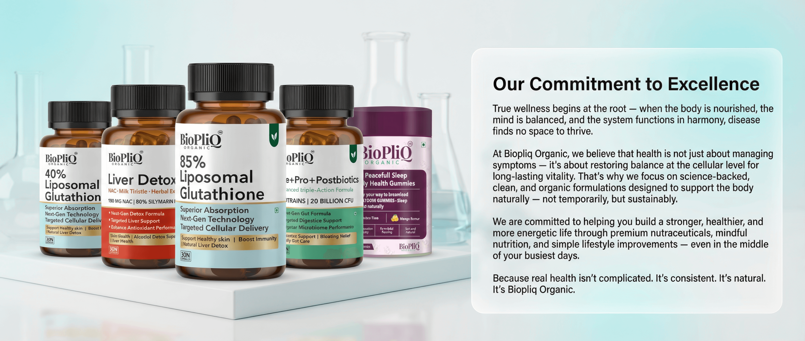 Our Commitment to Excellence